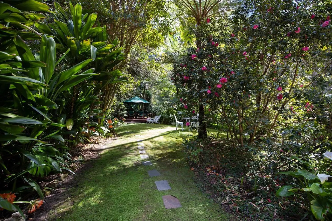 Rosella'S On Springbrook Hotel Australia
